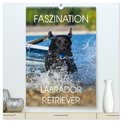 Faszination Labrador Retriever (hochwertiger Premium Wandkalender 2027 DIN A2 hoch), Kunstdruck in Hochglanz