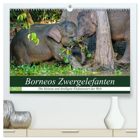 Borneos Zwergelefanten (hochwertiger Premium Wandkalender 2027 DIN A2 quer), Kunstdruck in Hochglanz