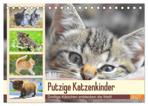 Putzige Katzenkinder. Drollige Kätzchen entdecken die Welt! (Tischkalender 2027 DIN A5 quer), CALVENDO Monatskalender