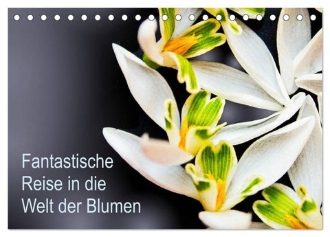 Fantastische Reise in die Welt der Blumen (Tischkalender 2026 DIN A5 quer), CALVENDO Monatskalender