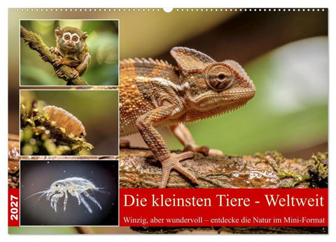 Die kleinsten Tiere - Weltweit (Wandkalender 2027 DIN A2 quer), CALVENDO Monatskalender