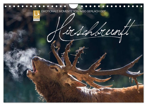 Emotionale Momente: Hirschbrunft (Wandkalender 2026 DIN A4 quer), CALVENDO Monatskalender