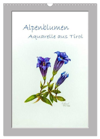 Alpenblumen Aquarelle aus Tirol (Wandkalender 2027 DIN A3 hoch), CALVENDO Monatskalender