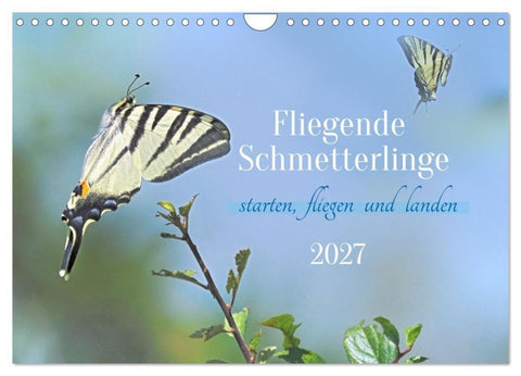 Fliegende Schmetterlinge (Wandkalender 2027 DIN A4 quer), CALVENDO Monatskalender