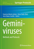 Geminiviruses