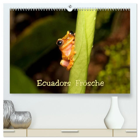 Ecuadors Frösche (hochwertiger Premium Wandkalender 2026 DIN A2 quer), Kunstdruck in Hochglanz