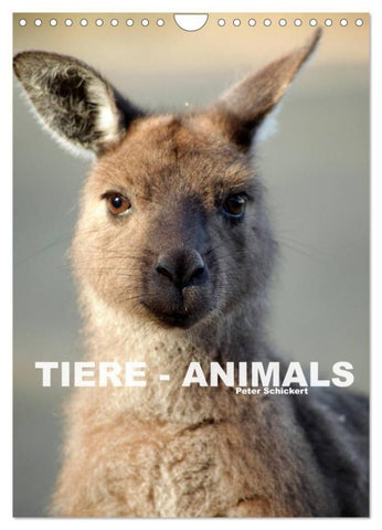 Tiere - Animals (Wandkalender 2027 DIN A4 hoch), CALVENDO Monatskalender