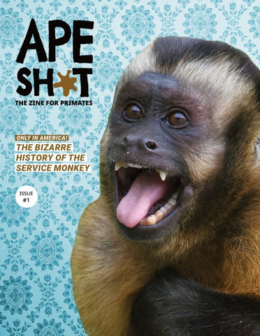 Ape Shit