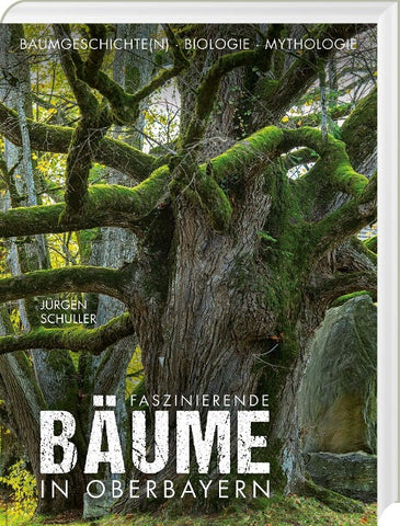 Faszinierende Bäume in Oberbayern