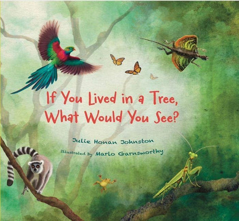 If You Lived in a Tree, What Would You See?