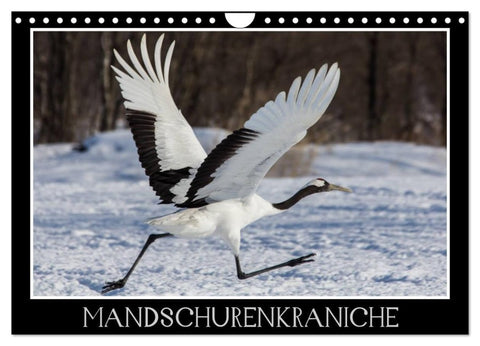 Mandschurenkraniche (Wandkalender 2027 DIN A4 quer), CALVENDO Monatskalender