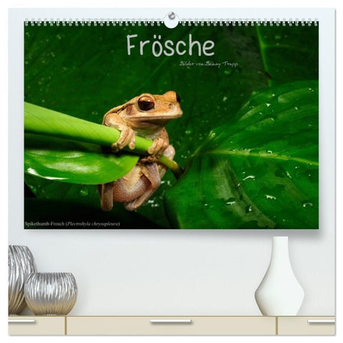 Frösche (hochwertiger Premium Wandkalender 2026 DIN A2 quer), Kunstdruck in Hochglanz