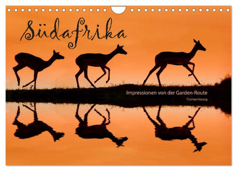 SÜDAFRIKA - Impressionen von der Garden Route (Wandkalender 2026 DIN A4 quer), CALVENDO Monatskalender