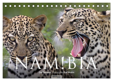 Namibia - Die Tierwelt (Tischkalender 2026 DIN A5 quer), CALVENDO Monatskalender