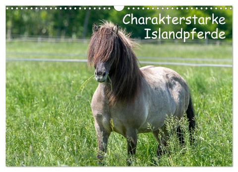 Charakterstarke Islandpferde (Wandkalender 2027 DIN A3 quer), CALVENDO Monatskalender