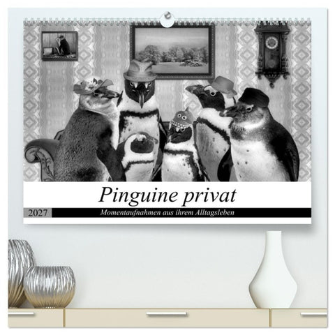 Pinguine privat (hochwertiger Premium Wandkalender 2027 DIN A2 quer), Kunstdruck in Hochglanz