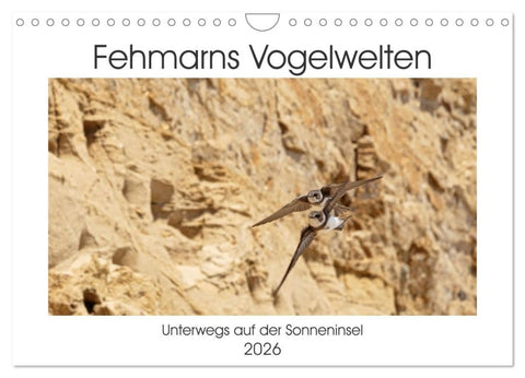 Fehmarn Vogelwelten (Wandkalender 2026 DIN A4 quer), CALVENDO Monatskalender