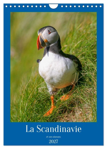 La Scandinavie et ses oiseaux (Calendrier mural 2027 DIN A4 horizontal), CALVENDO calendrier mensuel