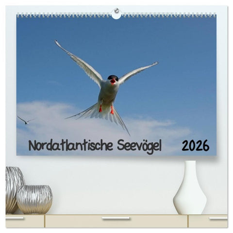 Nordatlantische Seevögel (hochwertiger Premium Wandkalender 2026 DIN A2 quer), Kunstdruck in Hochglanz
