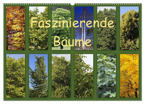 Faszinierende Bäume (Wandkalender 2027 DIN A2 quer), CALVENDO Monatskalender