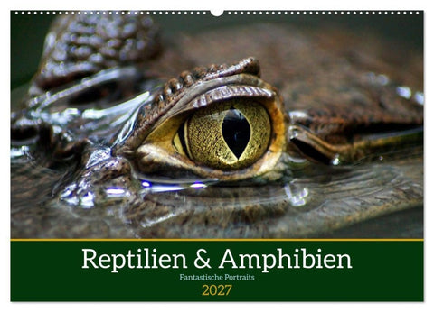 Reptilien & Amphibien Portraits (Wandkalender 2027 DIN A2 quer), CALVENDO Monatskalender