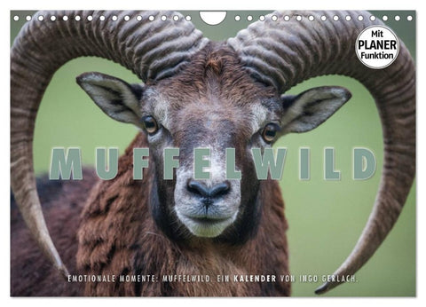 Emotionale Momente: Muffelwild. (Wandkalender 2026 DIN A4 quer), CALVENDO Monatskalender