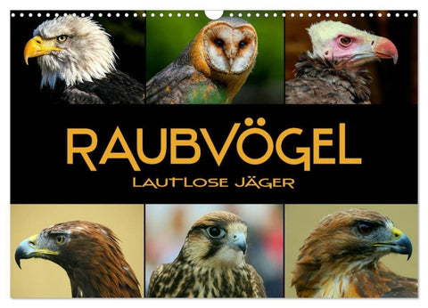Raubvögel - lautlose Jäger (Wandkalender 2027 DIN A3 quer), CALVENDO Monatskalender