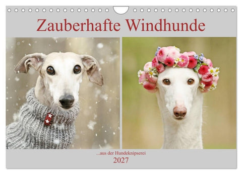 Zauberhafte Windhunde (Wandkalender 2027 DIN A4 quer), CALVENDO Monatskalender