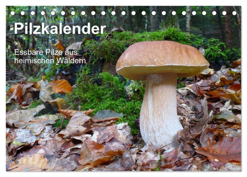 Pilzkalender (Tischkalender 2027 DIN A5 quer), CALVENDO Monatskalender