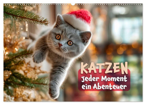 Katzen - Jeder Moment ein Abenteuer (Wandkalender 2027 DIN A2 quer), CALVENDO Monatskalender