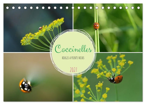 Coccinelles rouges à points noirs (Calendrier de bureau 2027 DIN A5 vertical), CALVENDO calendrier mensuel