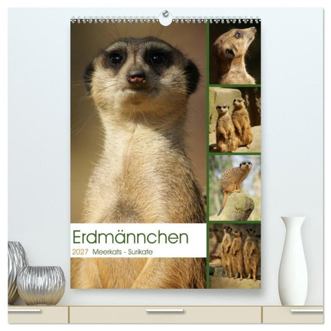Erdmännchen-Meerkats-Surikate (hochwertiger Premium Wandkalender 2027 DIN A2 hoch), Kunstdruck in Hochglanz