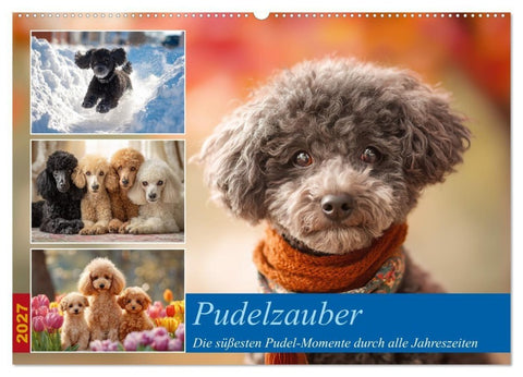 Pudelzauber (Wandkalender 2027 DIN A2 quer), CALVENDO Monatskalender