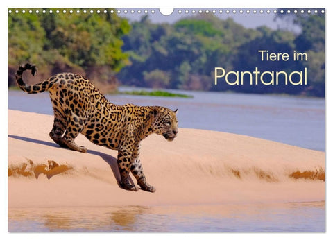 Tiere im Pantanal - Viaje (Wandkalender 2027 DIN A3 quer), CALVENDO Monatskalender