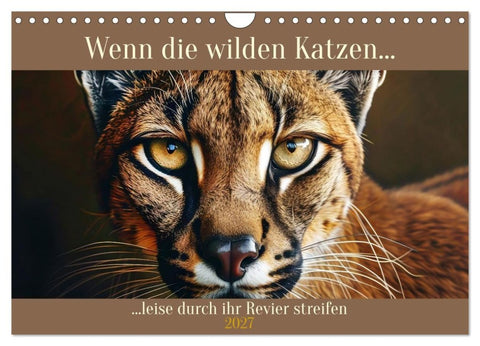 Wenn die wilden Katzen leise durch ihr Revier streifen (Wandkalender 2027 DIN A4 quer), CALVENDO Monatskalender