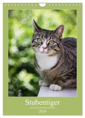 Stubentiger (Wandkalender 2026 DIN A4 hoch), CALVENDO Monatskalender