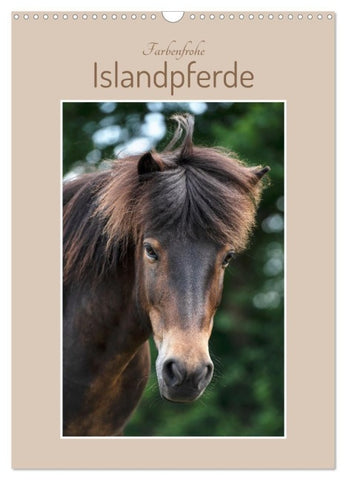 Farbenfrohe Islandpferde (Wandkalender 2026 DIN A3 hoch), CALVENDO Monatskalender