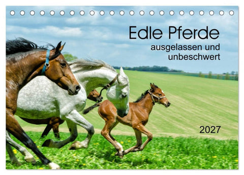 Edle Pferde - ausgelassen und unbeschwert (Tischkalender 2027 DIN A5 quer), CALVENDO Monatskalender