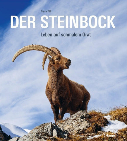 Der Steinbock