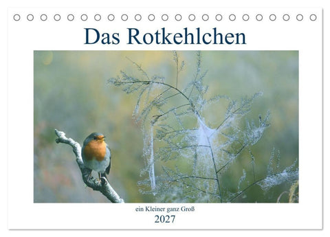 Das Rotkehlchen, ein Kleiner ganz Groß (Tischkalender 2027 DIN A5 quer), CALVENDO Monatskalender
