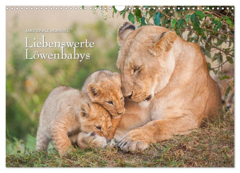 Emotionale Momente: Liebenswerte Löwenbabys (Wandkalender 2026 DIN A3 quer), CALVENDO Monatskalender