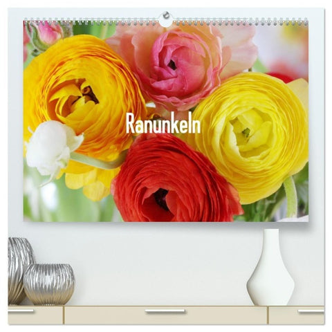 Ranunkeln (hochwertiger Premium Wandkalender 2027 DIN A2 quer), Kunstdruck in Hochglanz