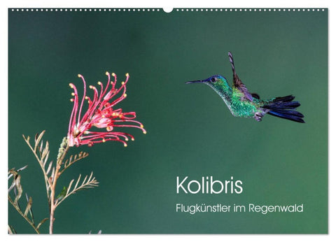 Kolibris - Flugkünstler im Regenwald (Wandkalender 2027 DIN A2 quer), CALVENDO Monatskalender