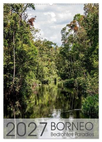 BORNEO Bedrohtes Paradies (Wandkalender 2027 DIN A2 hoch), CALVENDO Monatskalender