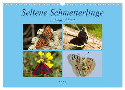 Seltene Schmetterlinge in Deutschland (Wandkalender 2026 DIN A3 quer), CALVENDO Monatskalender