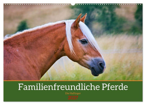 Familienfreundliche Pferde (Wandkalender 2027 DIN A2 quer), CALVENDO Monatskalender