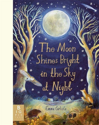 The Moon Shines Bright in the Sky at Night
