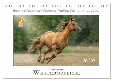 Faszination Westernpferde (Tischkalender 2026 DIN A5 quer), CALVENDO Monatskalender