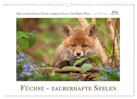 Füchse - zauberhafte Seelen (Wandkalender 2027 DIN A3 quer), CALVENDO Monatskalender