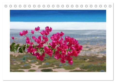 Fuerteventura (Tischkalender 2026 DIN A5 quer), CALVENDO Monatskalender